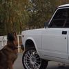 quba892