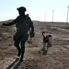 kazim0tiktok.com