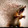 bye_angry_world