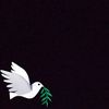 aishamohamed8435
