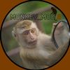 monkey_mod.8