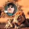 23647174adel