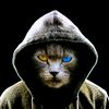 janner_201803