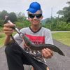 anglerharuantoman