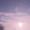 custardcreamsucker69