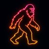 neonsquatch