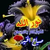 user1cscf8ad45