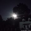 vlad_333331