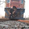 treinoupatjie
