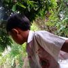 user997nrksqa0