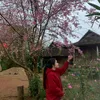 user041564634