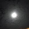nooby_777