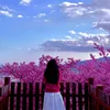 sanna389