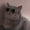 baoo_1001