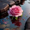 om.saif521