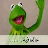 maha.khateeb