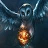 owlsofthenight