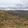 omcnaughton7438