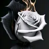 nabeelyassen