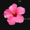 jimenaherrera483
