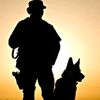 theshomrim.k9