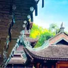 trangnhung147