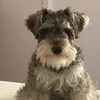 randompostshere