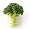 eatvegetableeveryday0