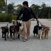 Victor Palazzolo| Dog Trainer