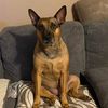 missy4080