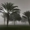 reeeu011