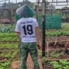 vithiet19