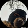 rojhann_