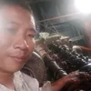 thanhphong266
