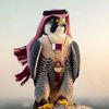 botalal_2020