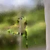 jejellytata_