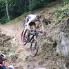davidmontgomery124