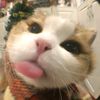 mwuahhhh0_0