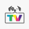 petviewtv