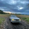 puzak993
