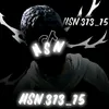 hsn.313_15