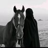 jood.q8