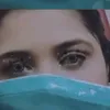 ashinaz8