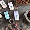jamilha_6