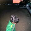 dekafebriansyah