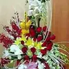 user1lzk79pbo6