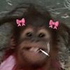 pinkblings
