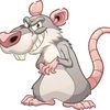 maestro_baby_rata