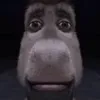 booostiflore