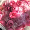 lolita.0555